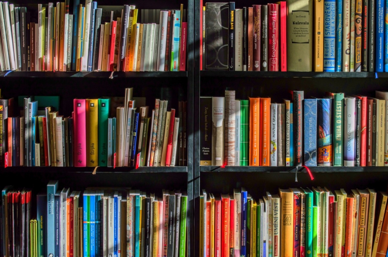 ecommerce-VENANSON-min_books_bookstore_book_reading_shop_writer_sale_books_read-822866